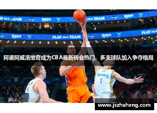 阿德阿威洛维奇成为CBA最新转会热门，多支球队加入争夺格局